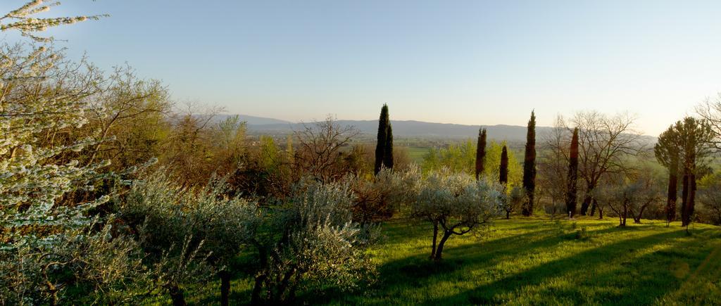 Villa Degli Ulivi Assisi Room photo